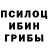 Псилоцибиновые грибы Magic Shrooms TiKtOkEr_ KoT