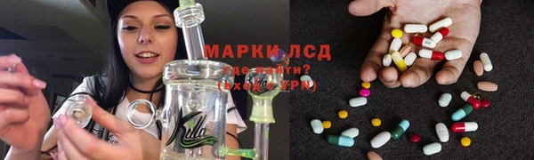 ПСИЛОЦИБИНОВЫЕ ГРИБЫ Абаза