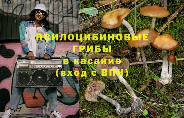 молекула духа Абинск