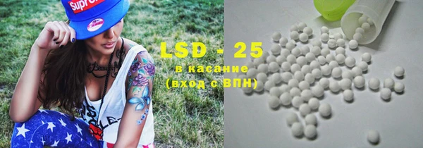 ПСИЛОЦИБИНОВЫЕ ГРИБЫ Абаза